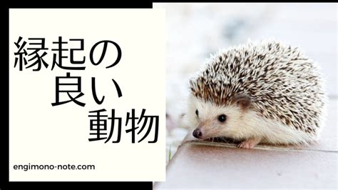 吉祥動物|縁起の良い動物一覧 – 幸運を引き寄せる動物たち 